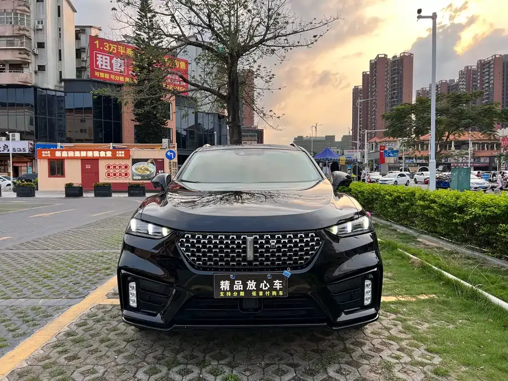 Wey VV7 GT 2021 из CN, фото 8