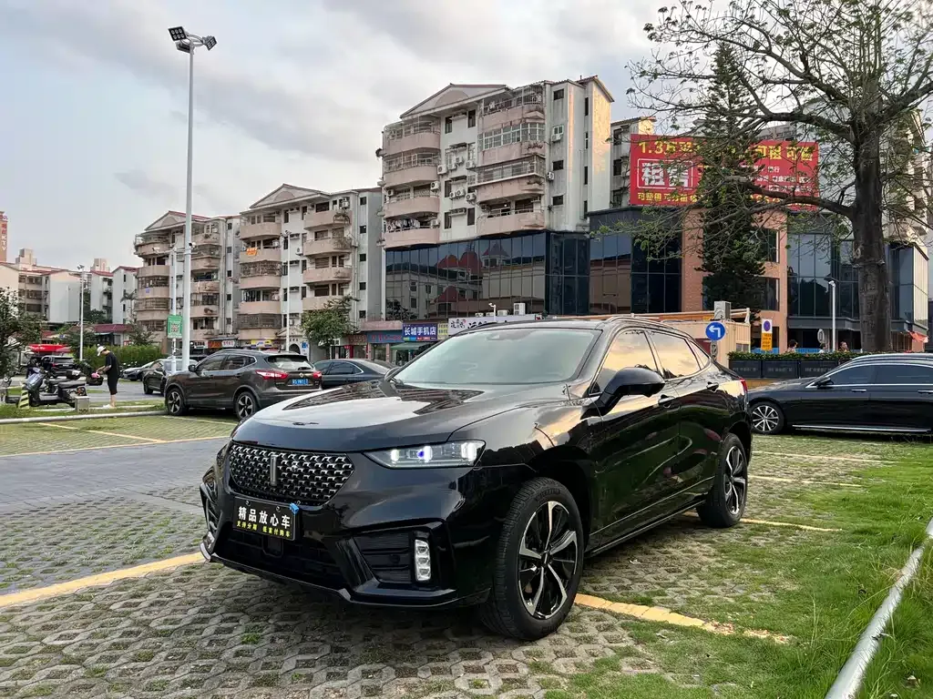 Wey VV7 GT 2021 из CN, фото 4