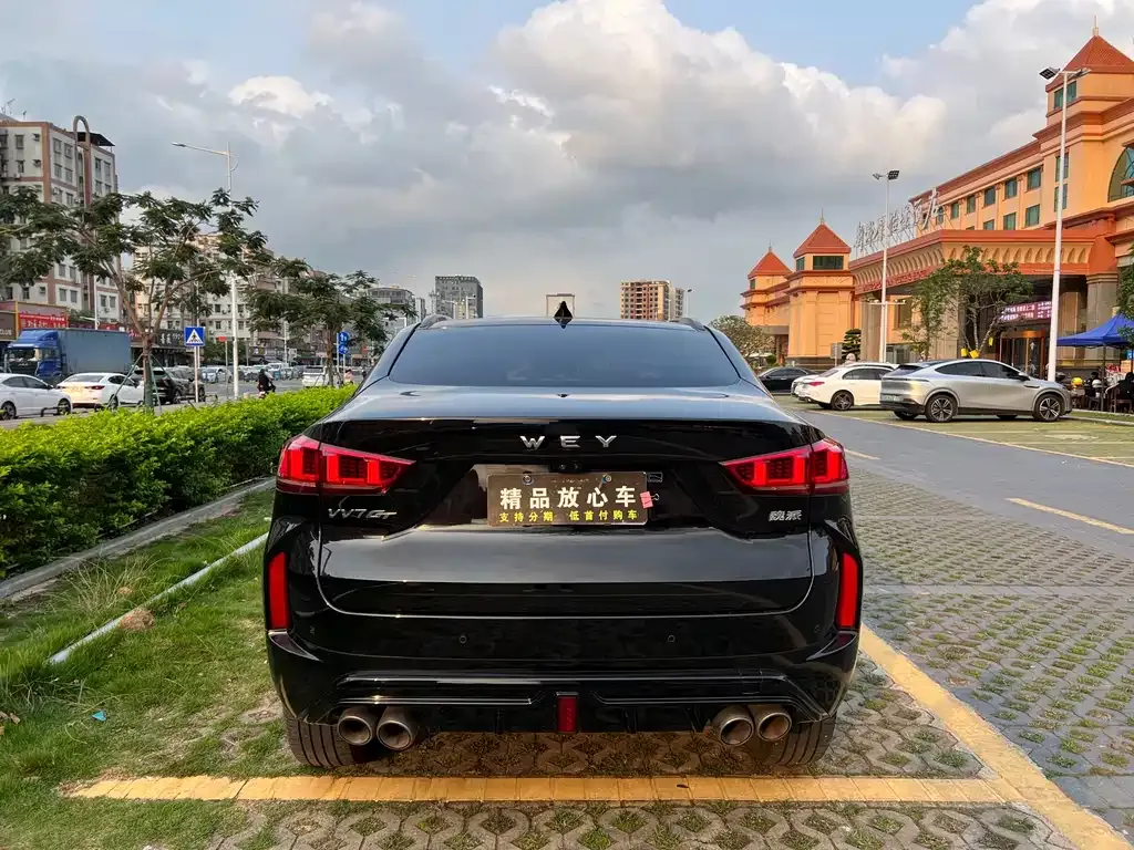 Wey VV7 GT 2021 из CN, фото 2