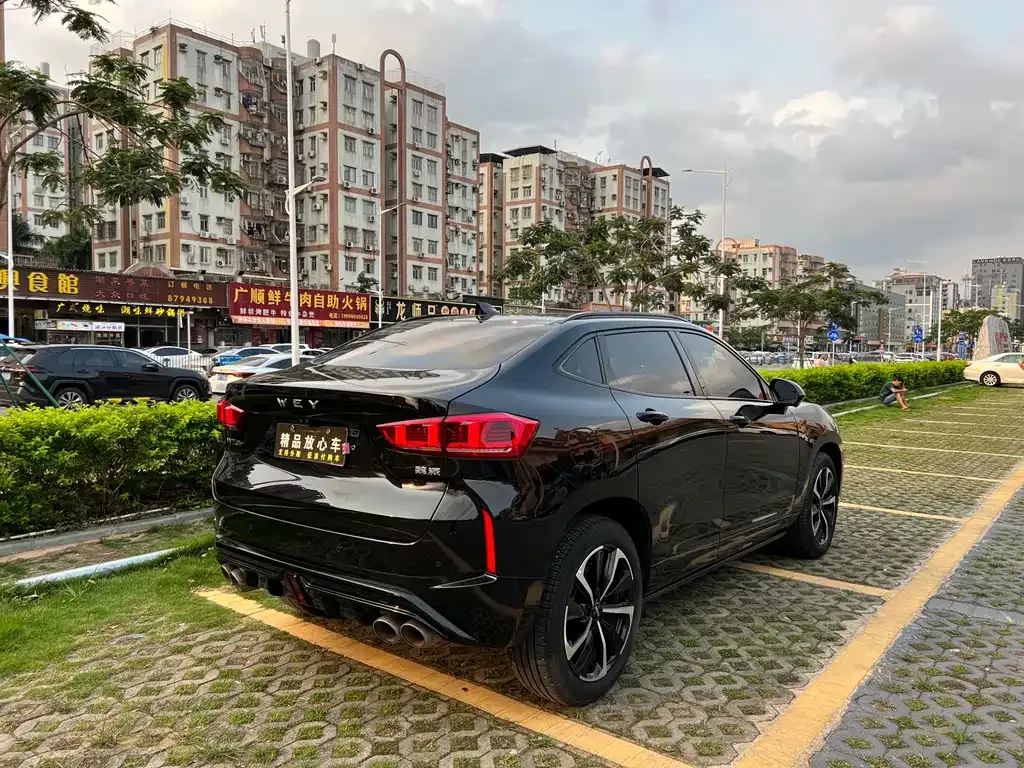 Wey VV7 GT 2021 из CN, фото 6