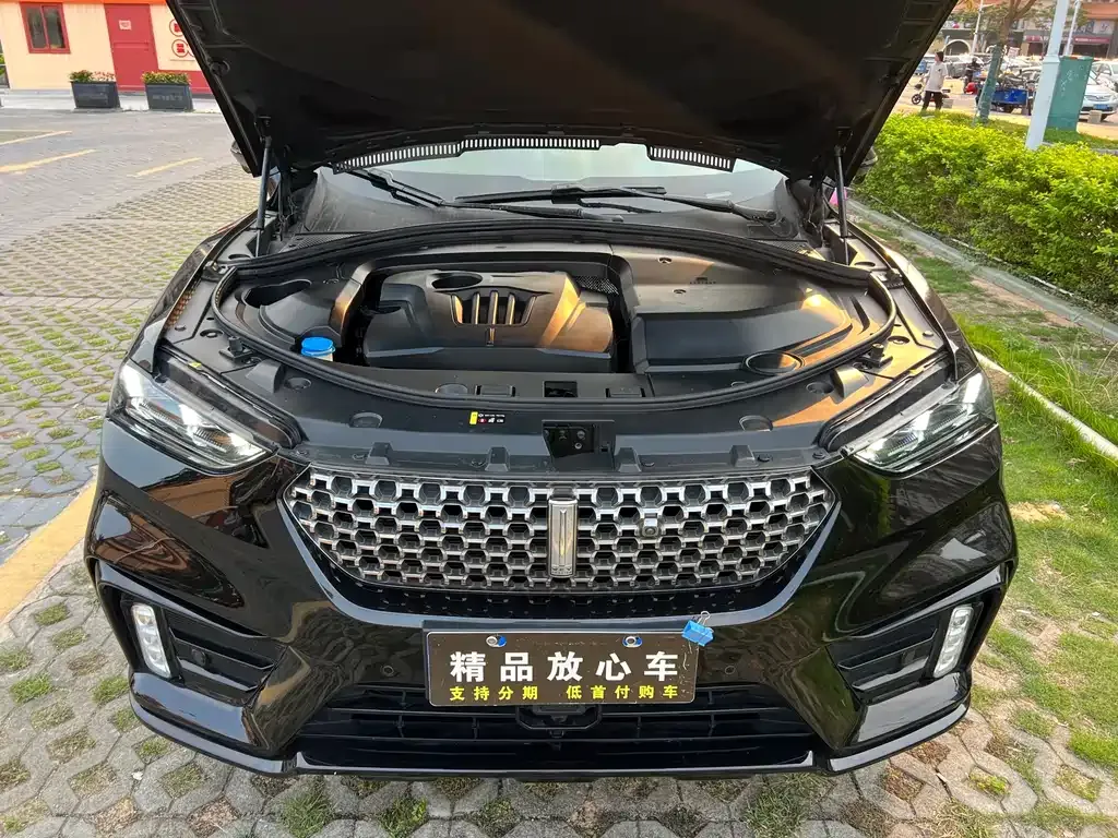 Wey VV7 GT 2021 из CN, фото 9