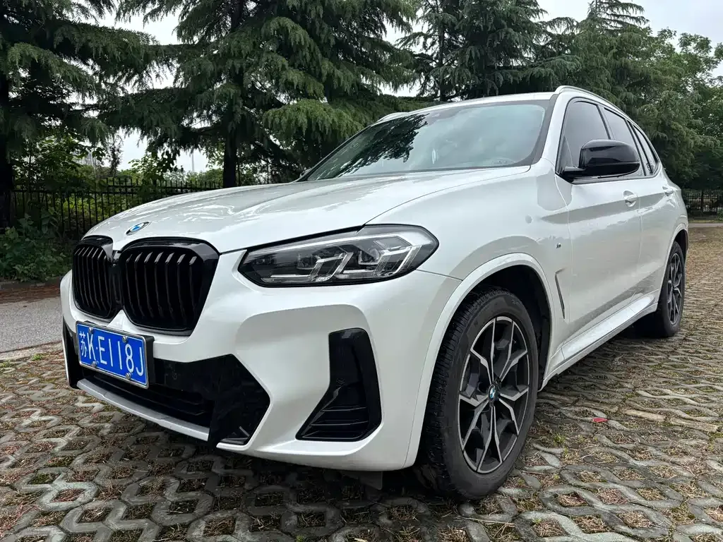 BMW X3 — фото 1