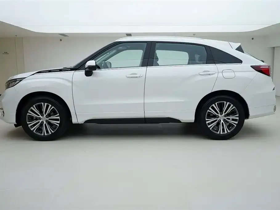 Honda Avancier 2023 из CN, фото 9