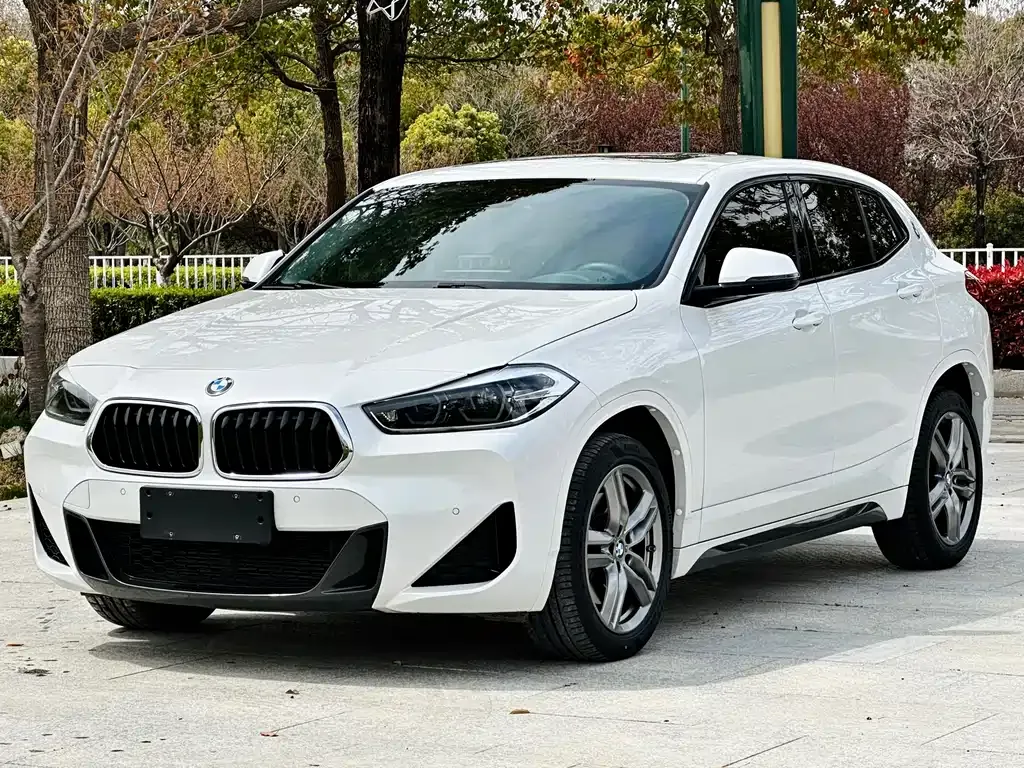 BMW X2 — фото 1