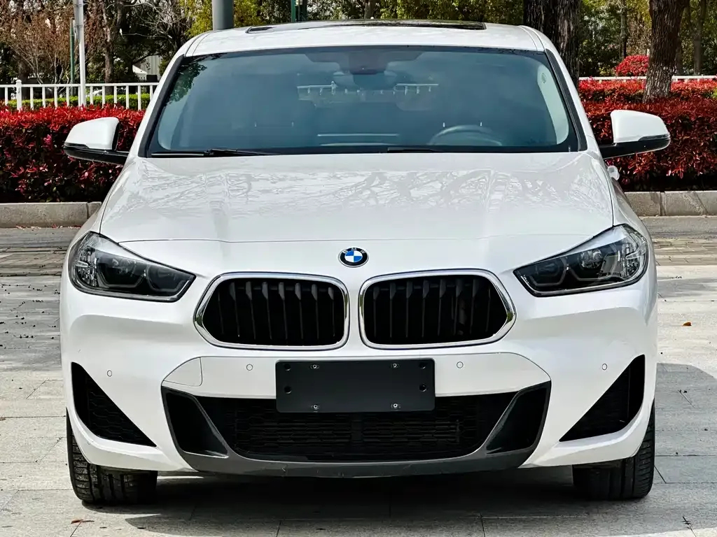 BMW X2 — фото 10