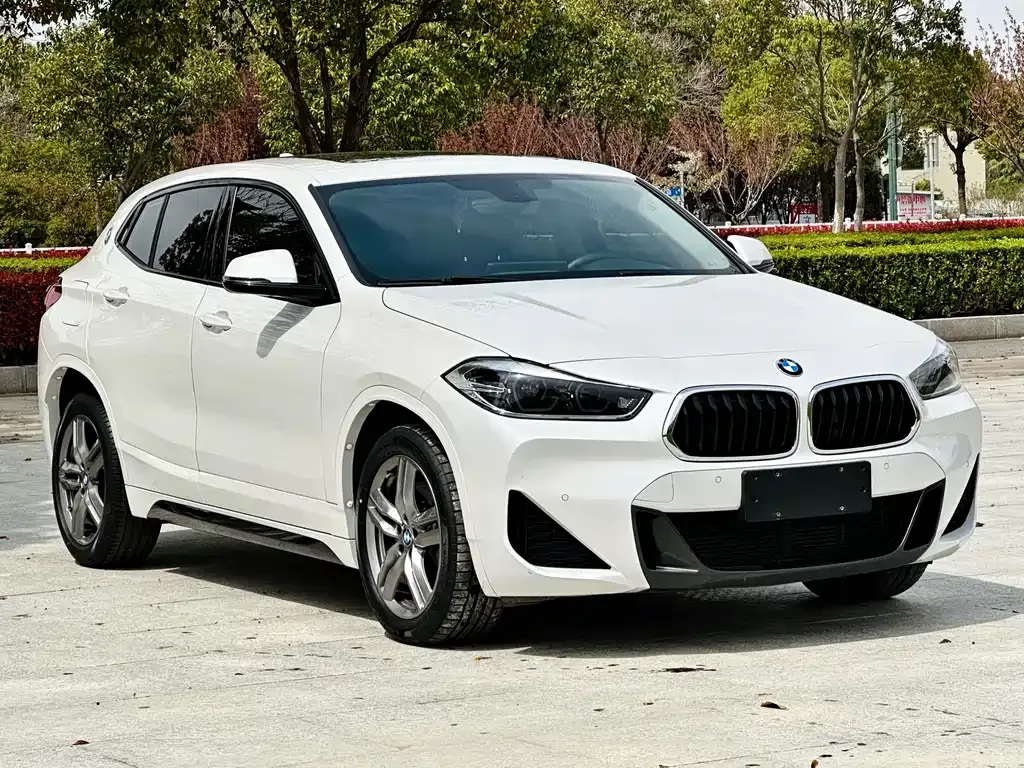 BMW X2 — фото 6