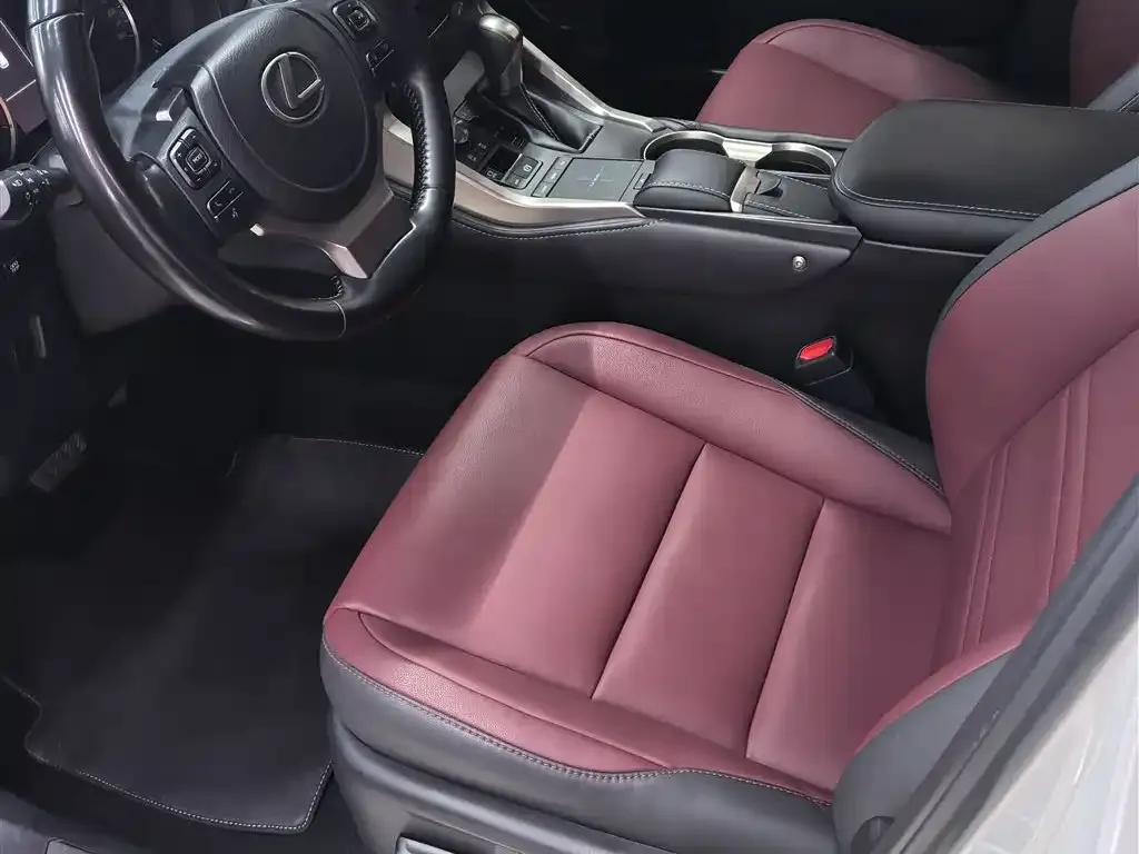 Lexus NX 2021 из CN, фото 5