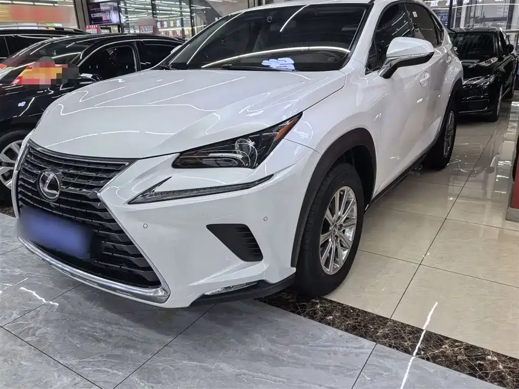 Lexus NX 2021 из CN, фото 6