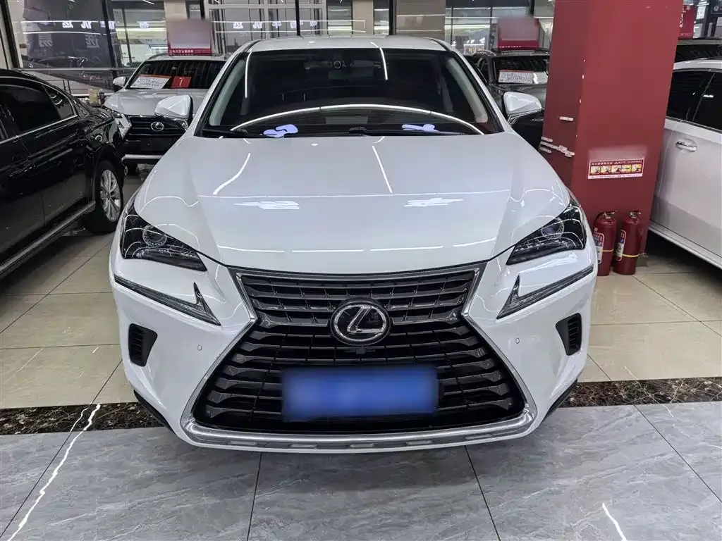 Lexus NX 2021 из CN, фото 3