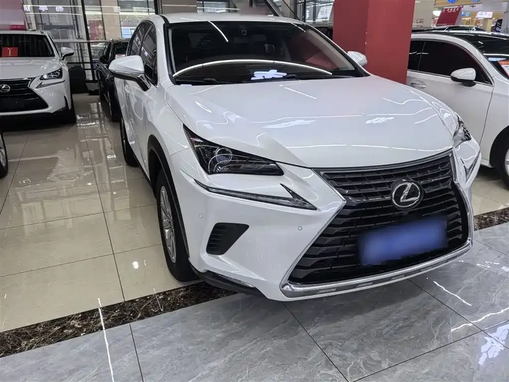 Lexus NX 2021 из CN, фото 8