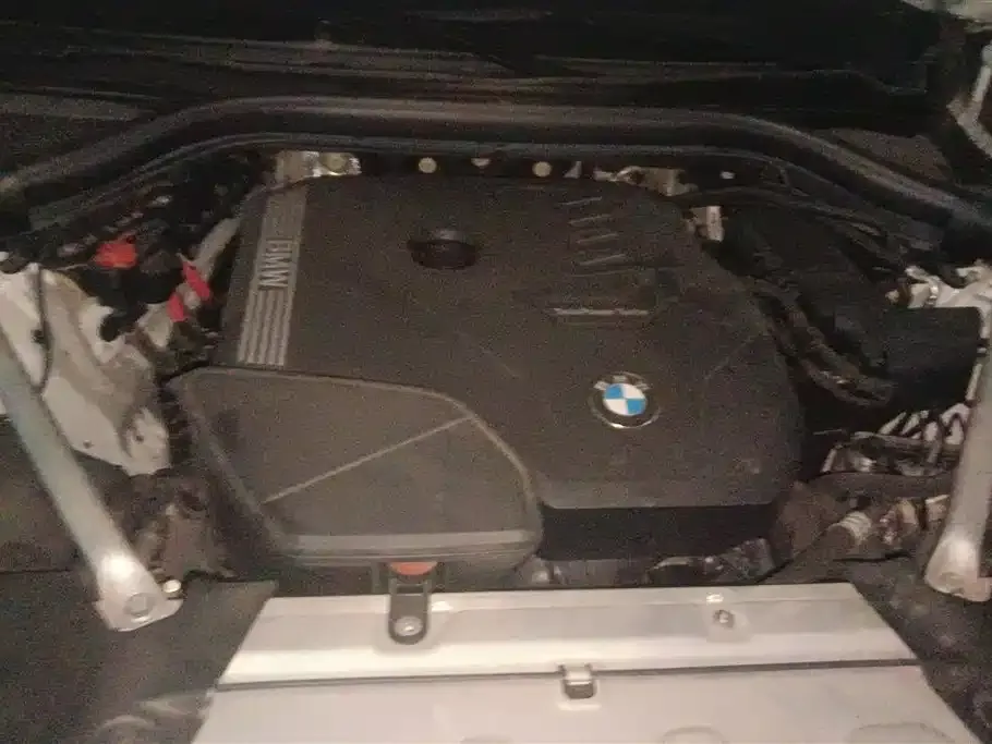 BMW X3 2021 из CN, фото 7