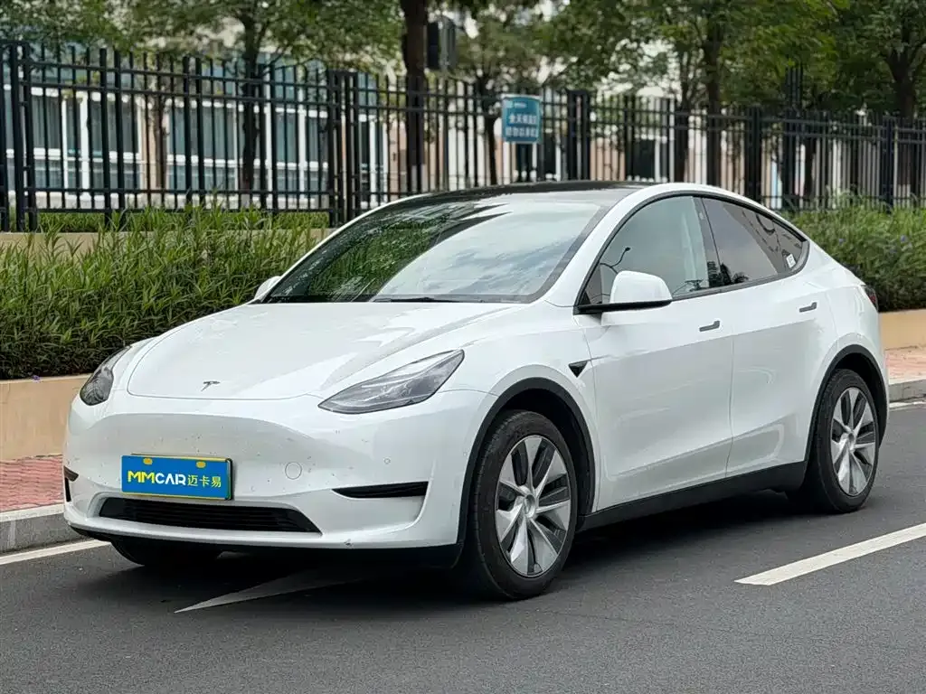 Tesla Model Y — фото 1