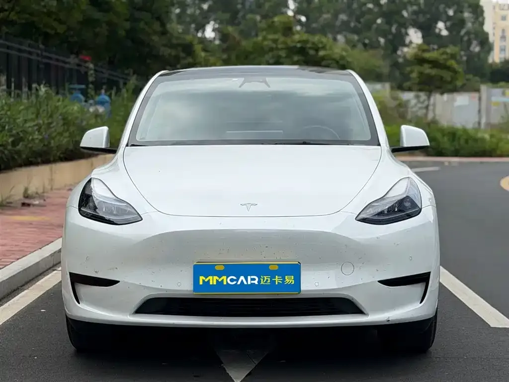 Tesla Model Y — фото 2