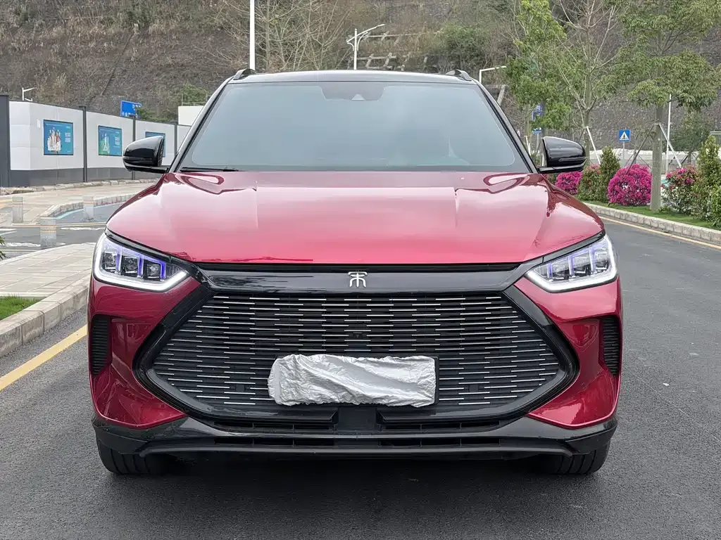 BYD PLUS New Energy 2023 из CN, фото 3