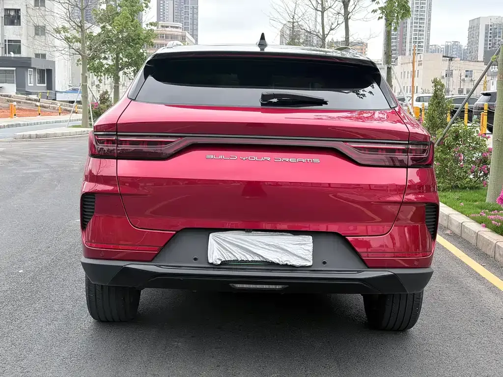 BYD PLUS New Energy 2023 из CN, фото 6