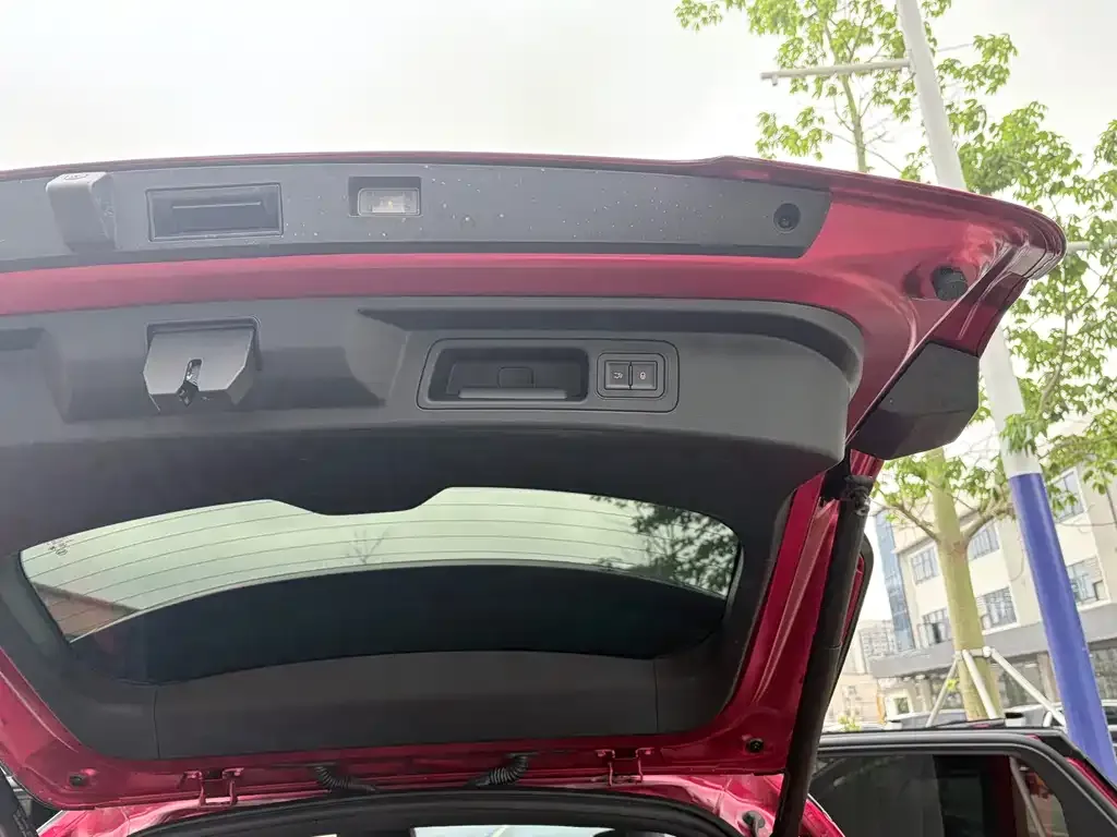 BYD PLUS New Energy 2023 из CN, фото 2