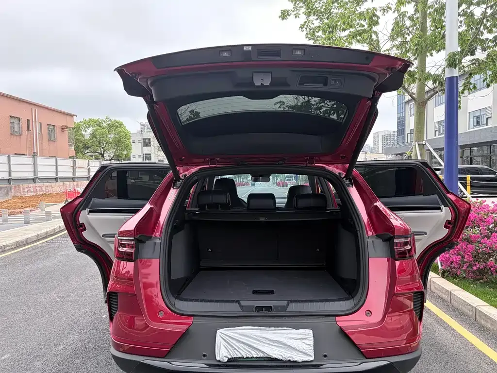 BYD PLUS New Energy 2023 из CN, фото 4