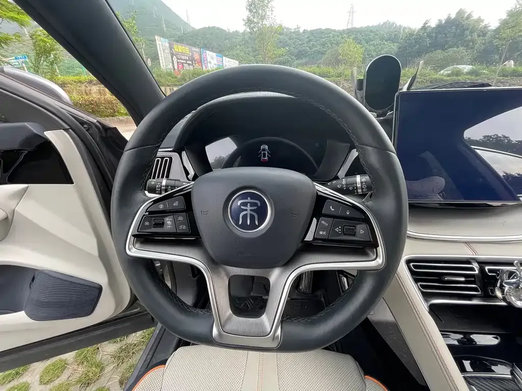 BYD PLUS New Energy — фото 4