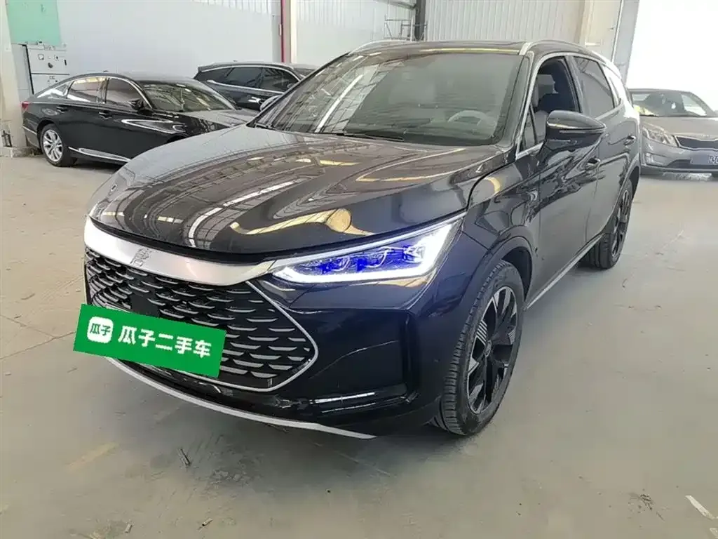 BYD Tang New Energy 2024 из CN, фото 1