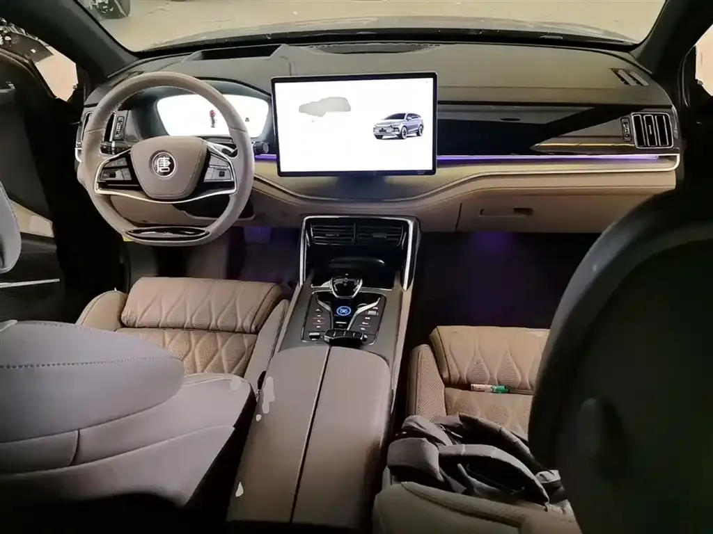 BYD Tang New Energy 2024 из CN, фото 7