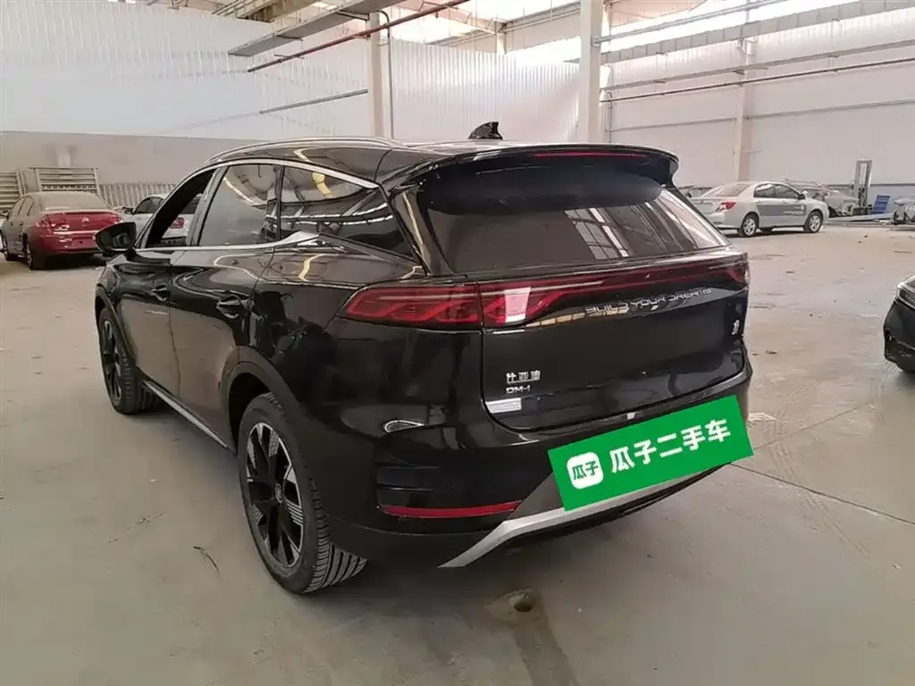 BYD Tang New Energy 2024 из CN, фото 5