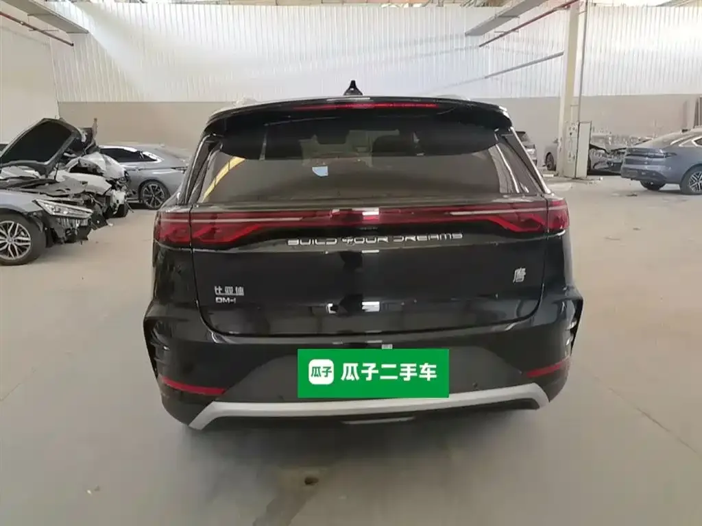 BYD Tang New Energy 2024 из CN, фото 10
