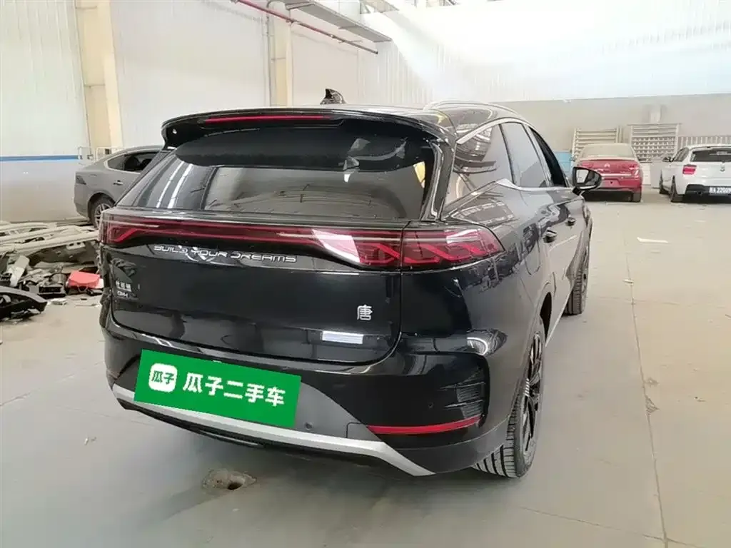 BYD Tang New Energy 2024 из CN, фото 9