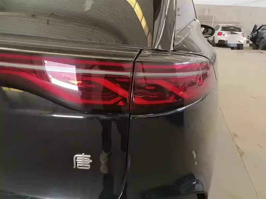 BYD Tang New Energy 2024 из CN, фото 2
