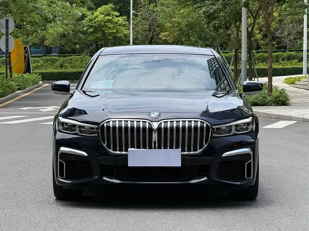 BMW 7 Series 2021 из CN, фото 9