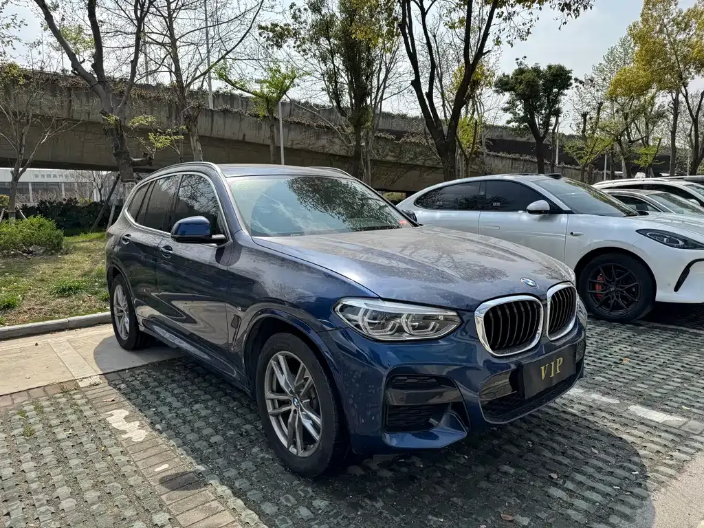 BMW X3 2021 из CN, фото 9