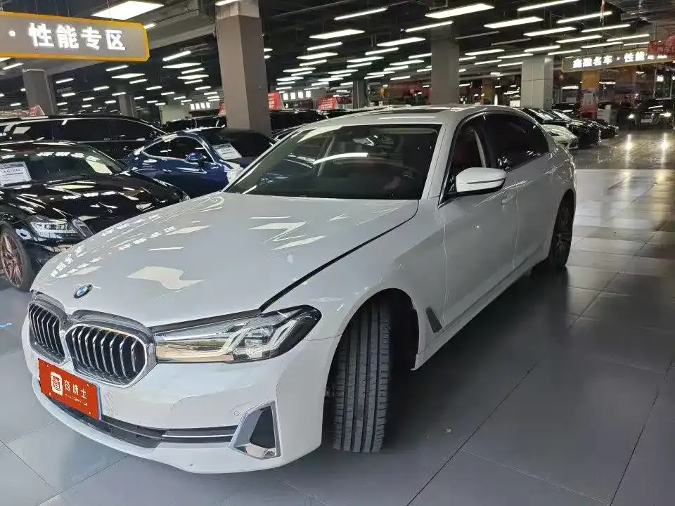 BMW 5 Series 2022 из CN, фото 1
