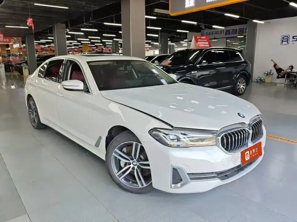 BMW 5 Series 2022 из CN, фото 6