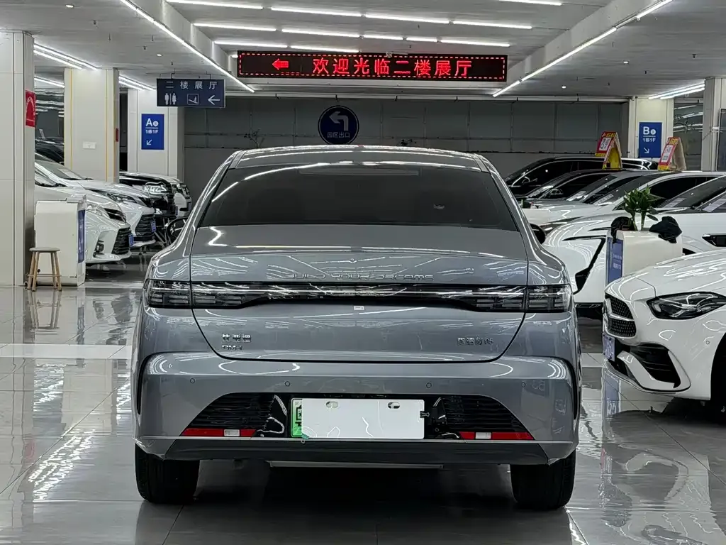BYD Destroyer 05 2024 из CN, фото 7
