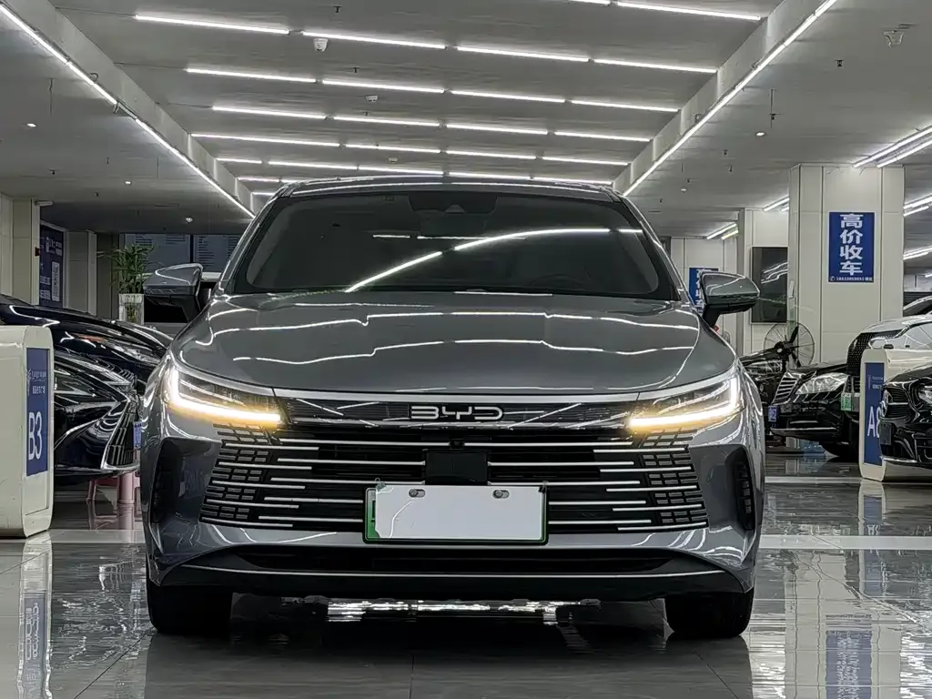 BYD Destroyer 05 2024 из CN, фото 10