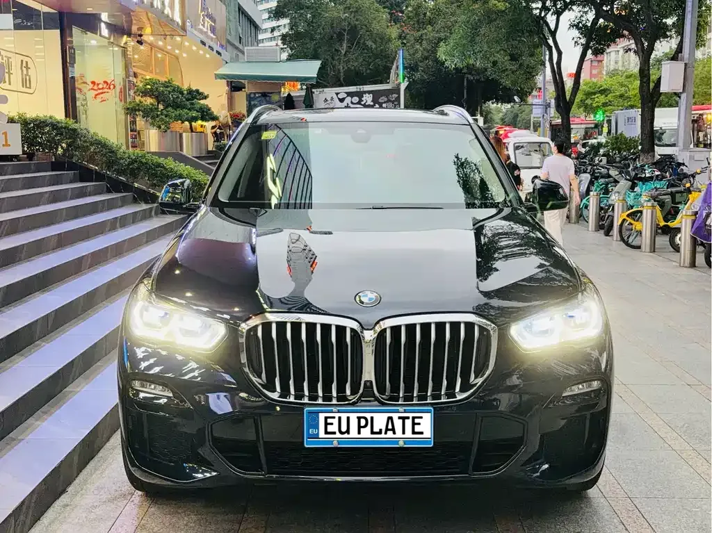 BMW X5 (Import) 2021 из CN, фото 8