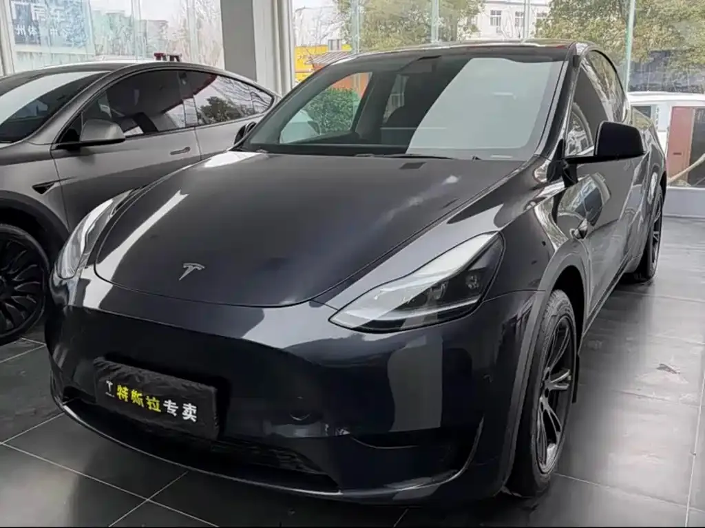 Tesla Model Y — фото 1