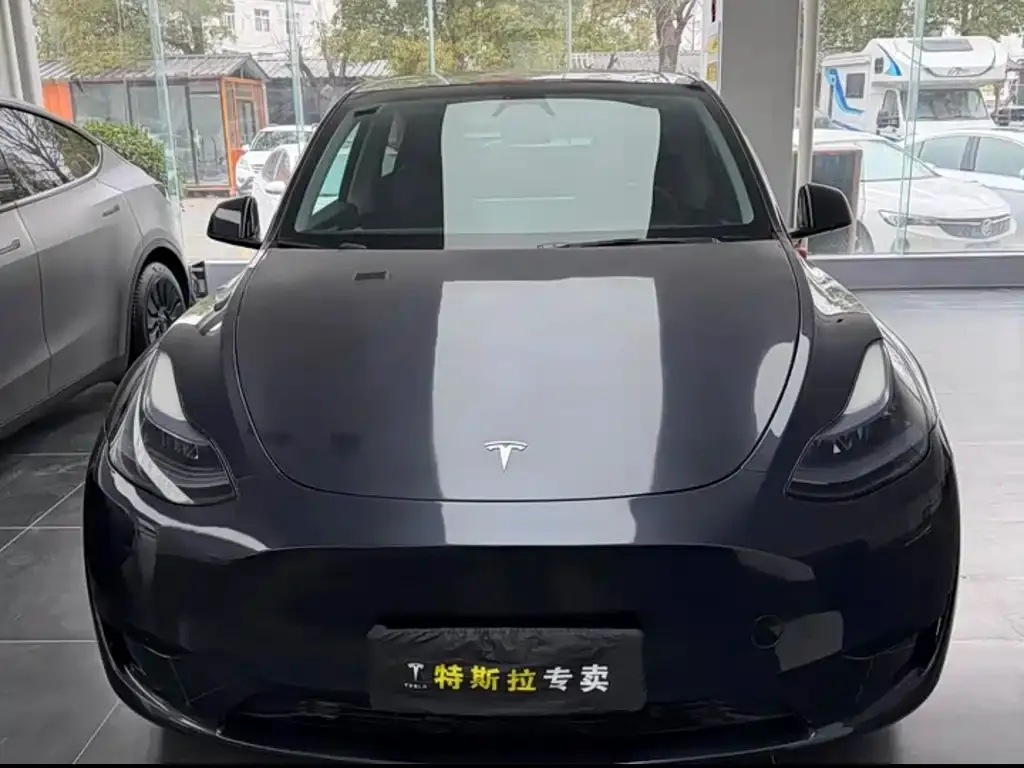 Tesla Model Y — фото 5