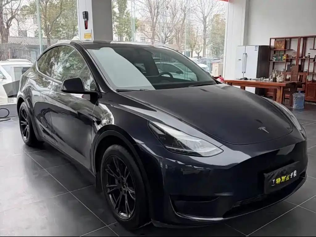 Tesla Model Y — фото 2