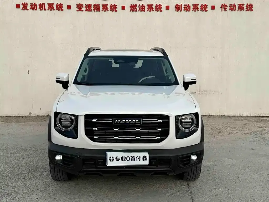 Haval Big Dog 2022 из CN, фото 8