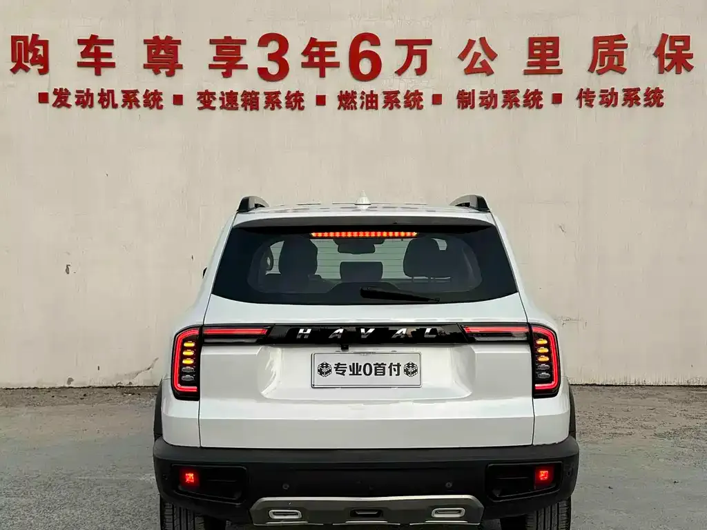 Haval Big Dog 2022 из CN, фото 6