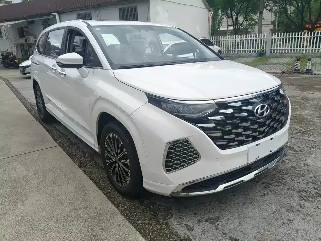 Hyundai Custo — фото 9