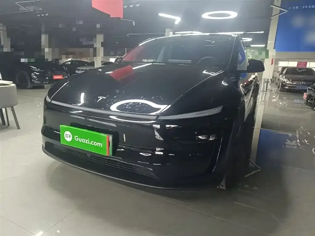 Tesla Model Y — фото 10