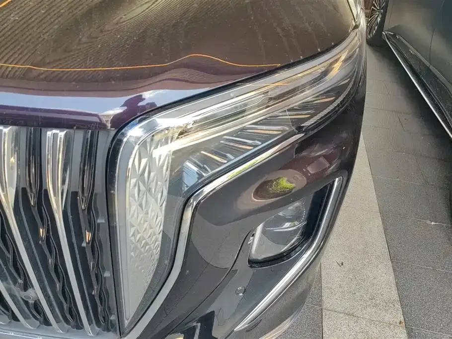 Hongqi HQ9 2023 из CN, фото 2