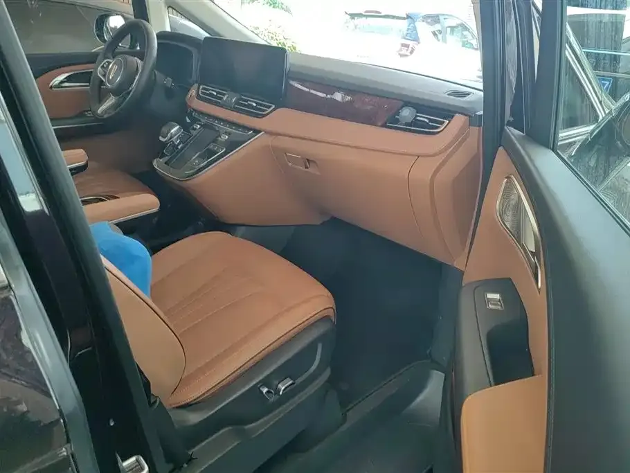 Hongqi HQ9 2023 из CN, фото 6