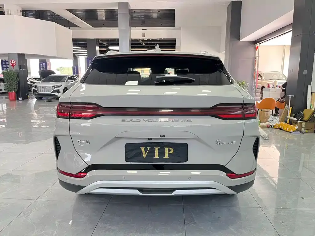 BYD PLUS New Energy 2024 из CN, фото 2