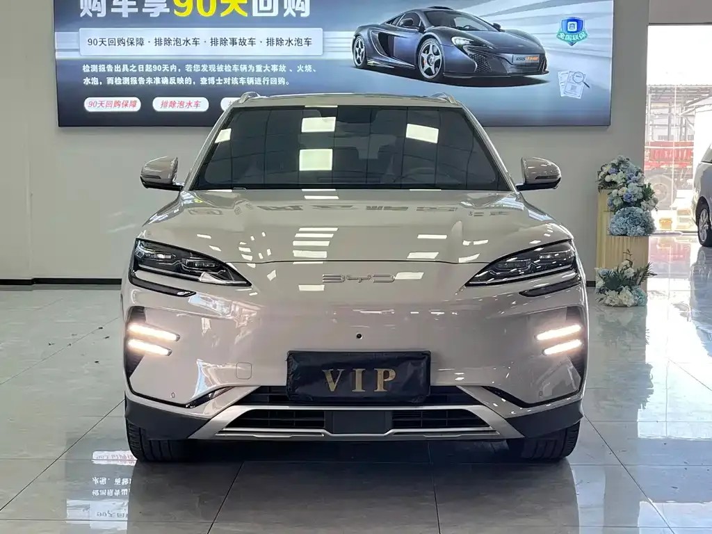 BYD PLUS New Energy 2024 из CN, фото 6