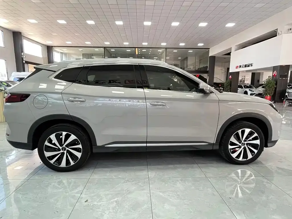 BYD PLUS New Energy 2024 из CN, фото 4