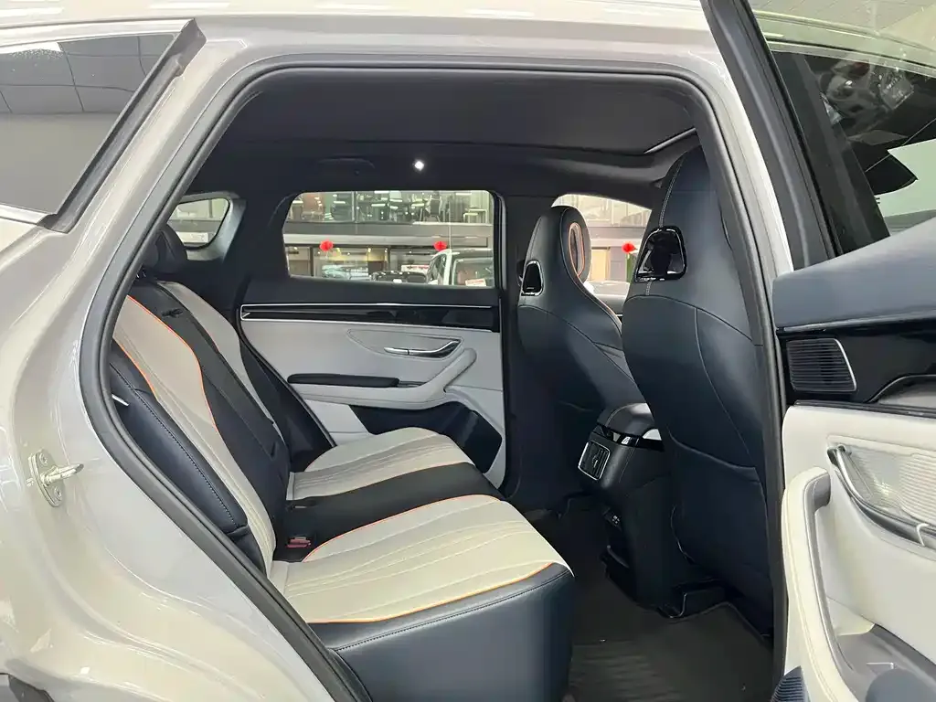 BYD PLUS New Energy 2024 из CN, фото 3