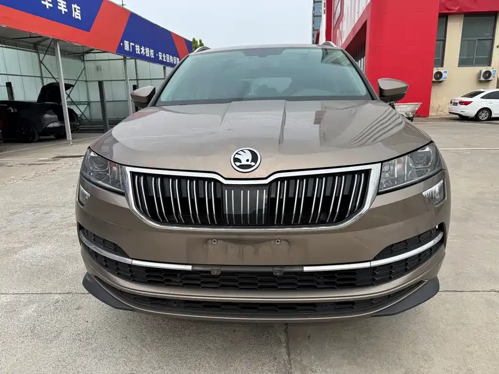Skoda Karoq — фото 5