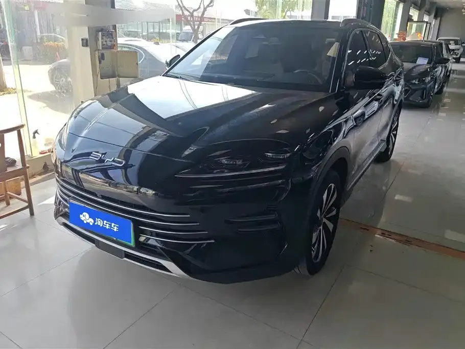 BYD PLUS New Energy — фото 1